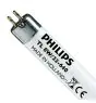 Philips T5 Short 8W - 640 Cool White | 29cm